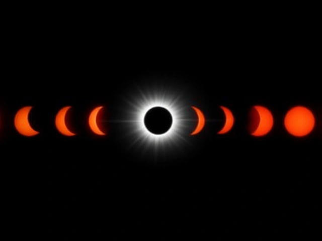 Eclipse solar provoca 'coro matinal falso' em aves, revela estudo da Universidade de Indiana